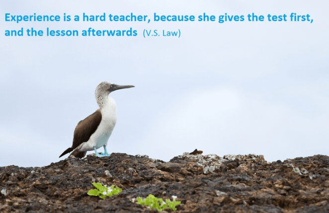 "L'expérience est une dure école : elle donne l'examen d'abord, la leçon ensuite"