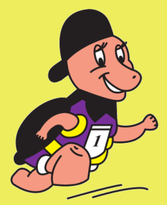 Logo Tortues Meslinoises