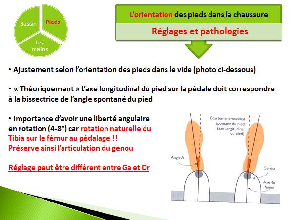 L'orientation des pieds dans la chaussure - source : Charles Dewolf